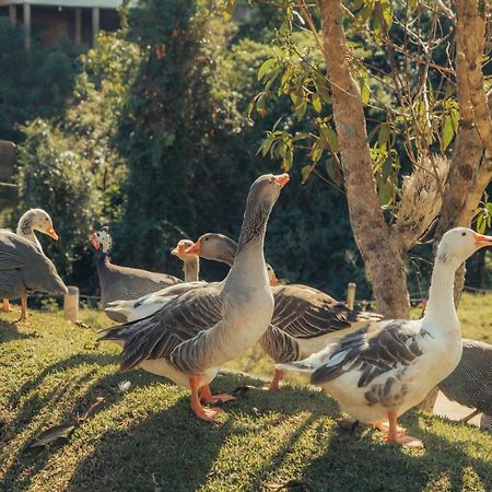 Hotel Chales Capitanias Águas de Lindóia Eksteriør billede
